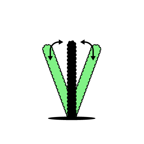Custom Image Slider